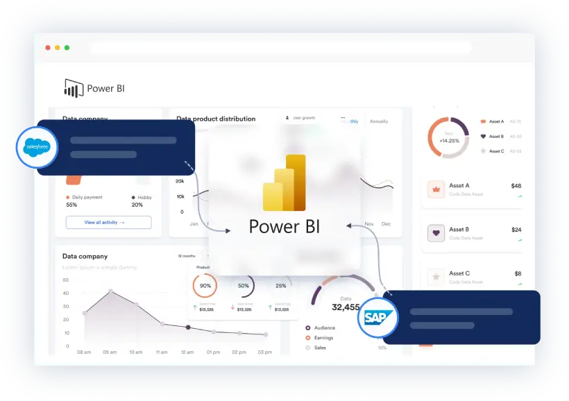Power BI connectivity for enterprise systems