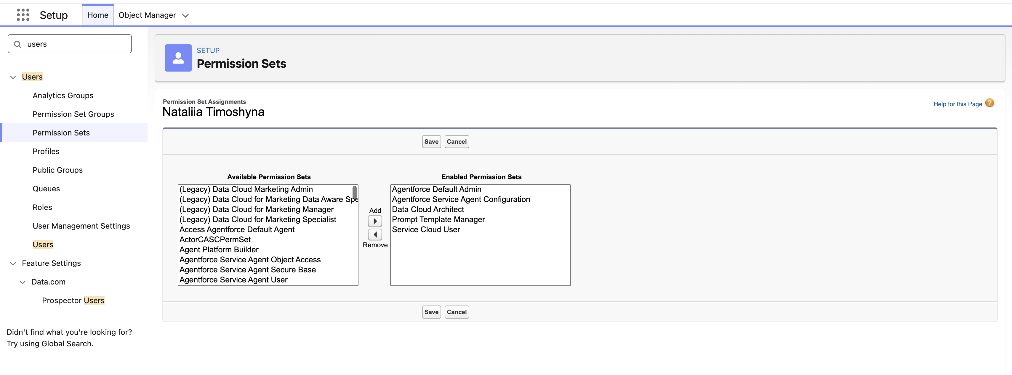 Permission Set Assignments edit screen in Salesforce Setup